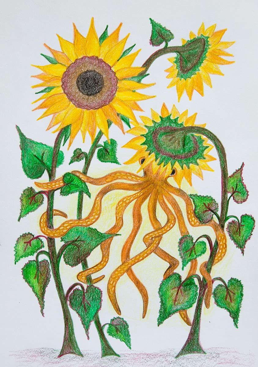 An orange octopus wraps its arms around the stems of three sunflowers. Its head is almost covered by a sunflower, leaving only its eyes visible.