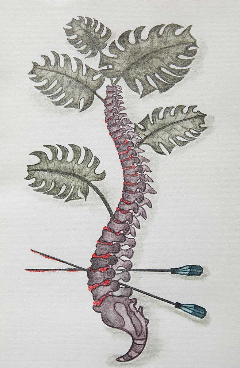 Several leaves grow from a spine. Two long puncture needles are stuck in the spine.