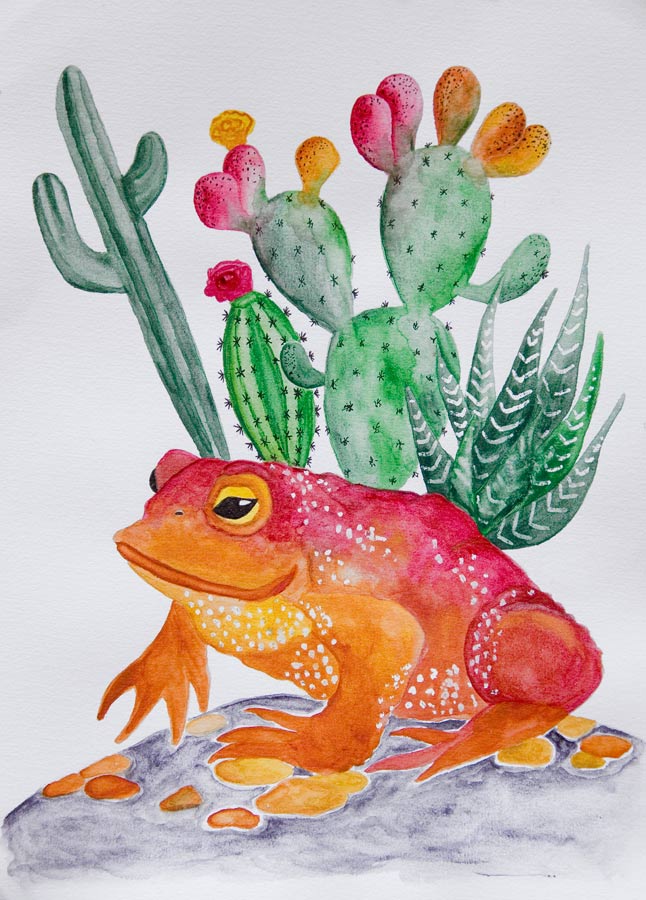 A red-orange toad with white dots is sitting on a stone. Behind the toad are several green cacti.